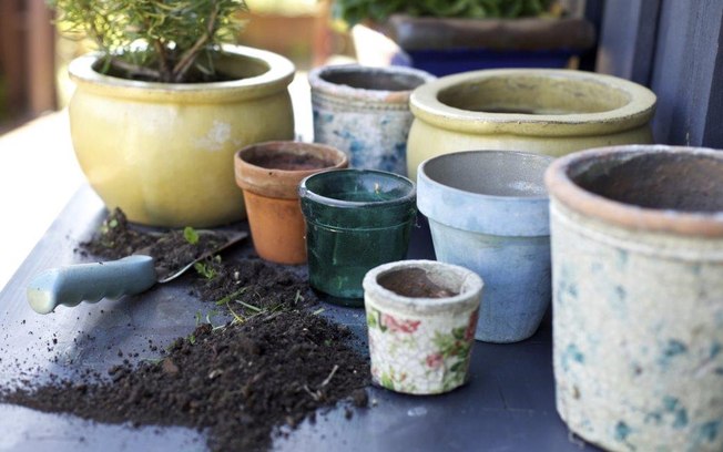 Para ajudar nesse processo, também vale plantar espécies no mesmo vaso, compartilhando terra e água