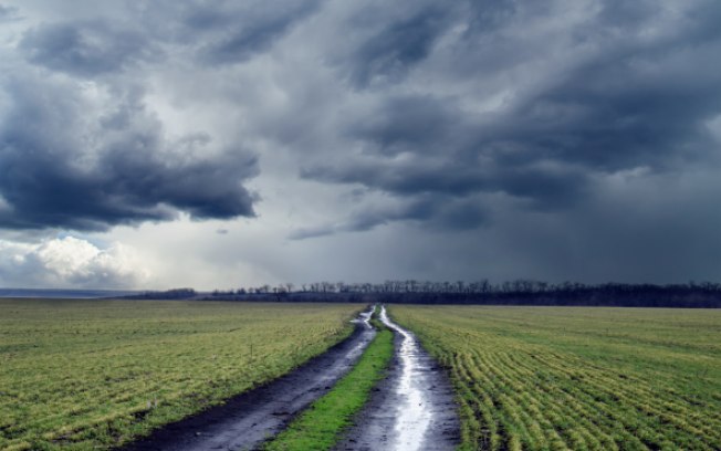 Se houver previsão de chuva para os próximos dias e as plantas puderem ser beneficiadas com ela, deixe a rega por conta da natureza