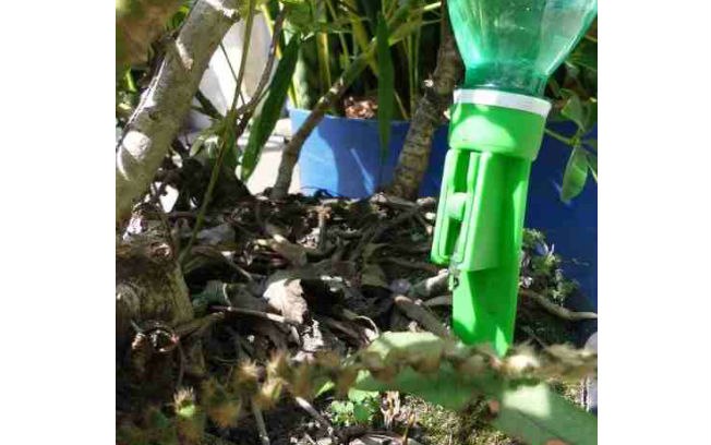 Para vasos internos, sistemas de gotejamento (você pode fazer usando garrafas PET) podem ajudar a garantir umidade sob controle, minimizando perdas