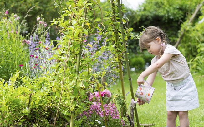 RESPEITO PELA NATUREZA: muitos adultos não tiveram essa formação, mas consciência ecológica é fundamental para as novas gerações, que cuidarão do planeta. Simples atos já fazem a diferença, como economizar água