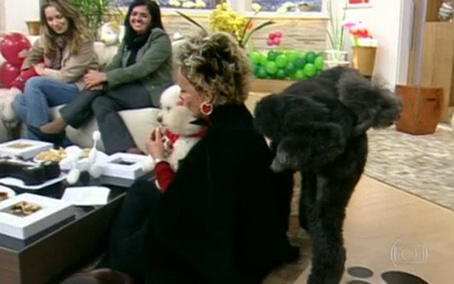 Certa vez, Ana Maria Braga foi feita de poste por um cachorro, que fez xixi na apresentadora