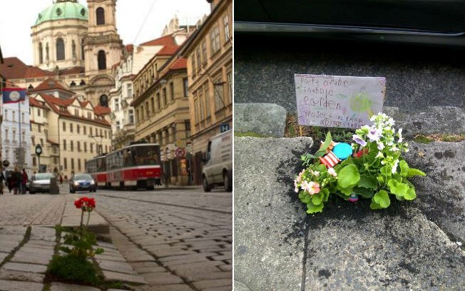 Melhore a cidade onde mora. Essa é a ideia por trás do projeto The Pothole Garden, que enfeita buracos em Londres