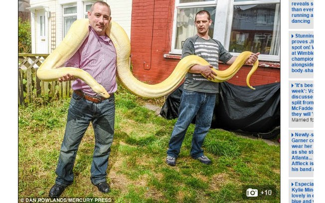 Rob, à esquerda, e seu amigo amigo exibem o comprimento do réptil