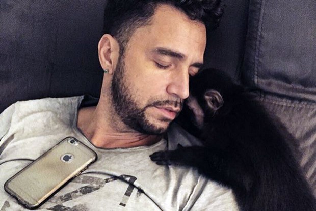 Latino dorme com seu macaco Twelves. 'Impressionante como os bichos absorvem a ternura brumal das nossas almas'%2C escreveu cantor em rede social