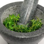 10 temperos e ervas que vão te ajudar a fazer um detox no corpo e como usá-los