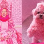 Mulher gasta R$ 5 milhões para ter tudo cor-de-rosa, inclusive o cachorro
