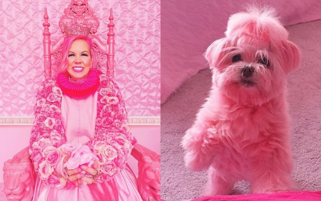 Kitten Kay Sera compra tudo cor-de-rosa desde o seus 20 anos e faz isso por se sentir deslumbrante nessa cor%3B nem o cachorro escapou